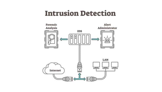 Qué es un Sistema de Detección de Intrusiones (IDS)
