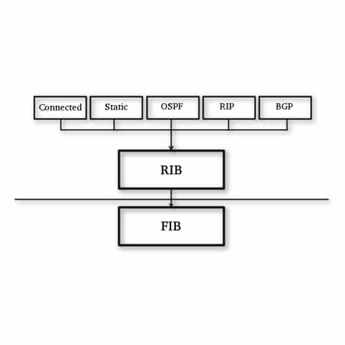 Entendiendo RIB y FIB en el Enrutamiento: Arquitectura de Tablas de Enrutamiento