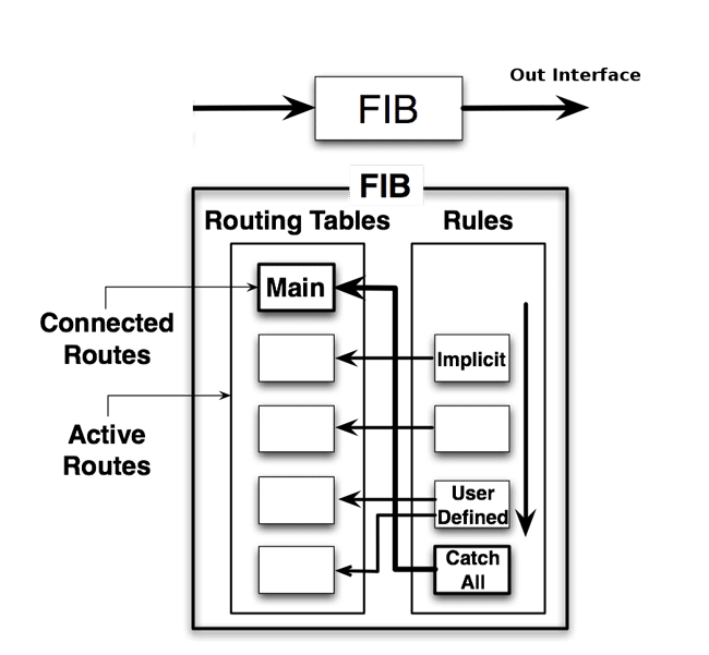 Entendiendo RIB y FIB en el Enrutamiento: Arquitectura de Tablas de Enrutamiento