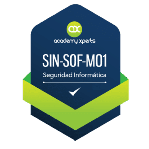 Curso de Seguridad Ofensiva Módulo 1 (SIN-SOF-M01)
