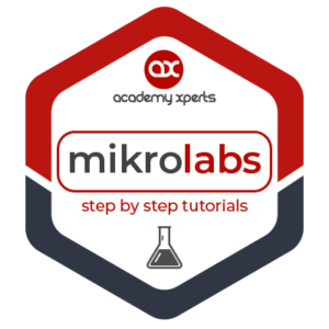 MikroLabs by Academy Xperts. Step-by-step MikroTik configuration tutorial videos