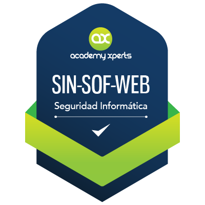 Curso de Introducción al Hacking Web (SIN-SOF-WEB)