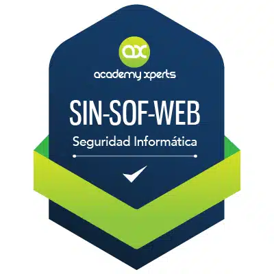 Curso de Introducción al Hacking Web (SIN-SOF-WEB)